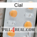 Cial 24